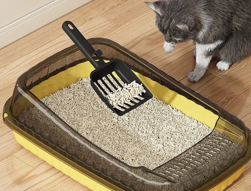 A caixa de areia para gatos GRS PP pode resolver as maiores frustrações dos proprietários de gatos?